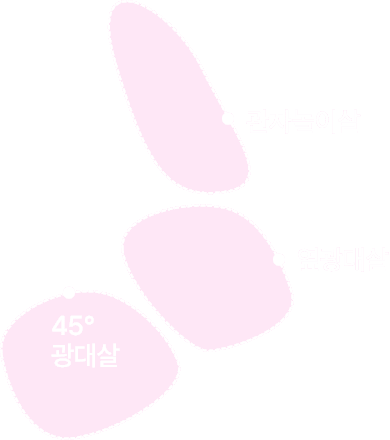 디마레클리닉 얼굴지방흡입·지방이식 메인 배너, 관자·광대·팔자·심술보·턱선·이중턱 등 부위별 얼굴 지방 분석도를 표시한 이미지