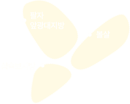 디마레클리닉 얼굴지방흡입·지방이식 메인 배너, 관자·광대·팔자·심술보·턱선·이중턱 등 부위별 얼굴 지방 분석도를 표시한 이미지