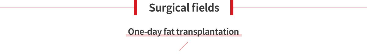 Facial Fat Grafting